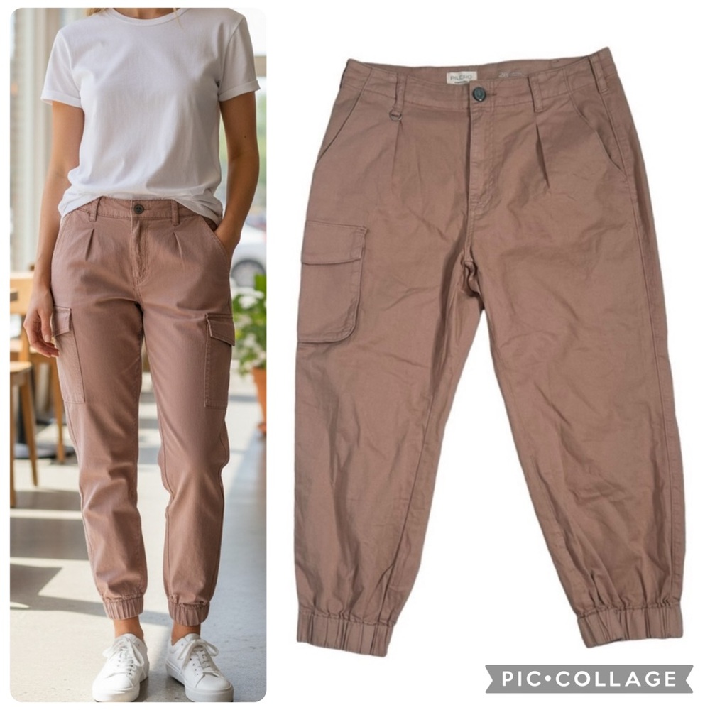 Anthropologie Pilcro Jogger Style Pants - Picture 2 of 15